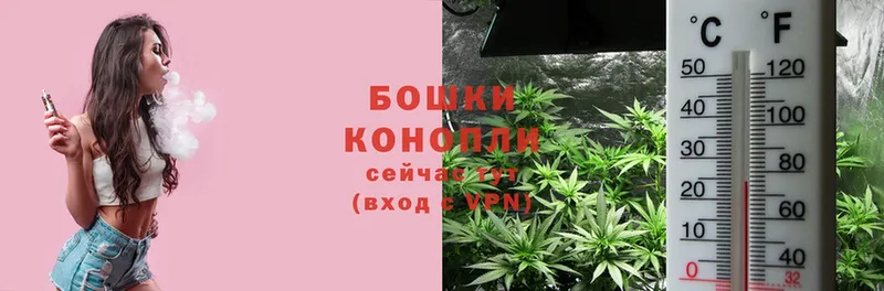 omg ССЫЛКА  Карабаново  Каннабис White Widow  закладки 